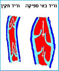 vein-clinic.com